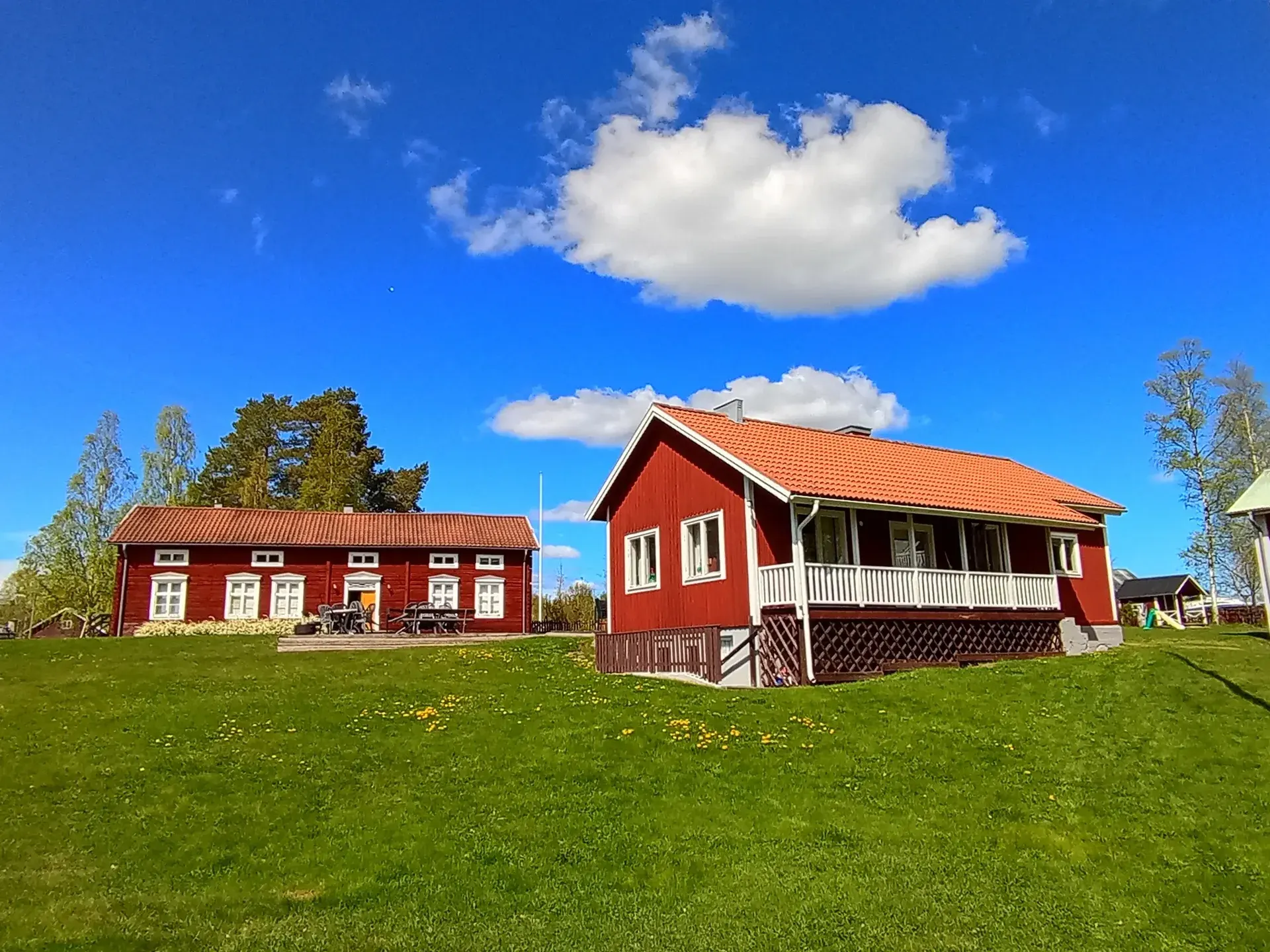 Natur och miljö på Brogården