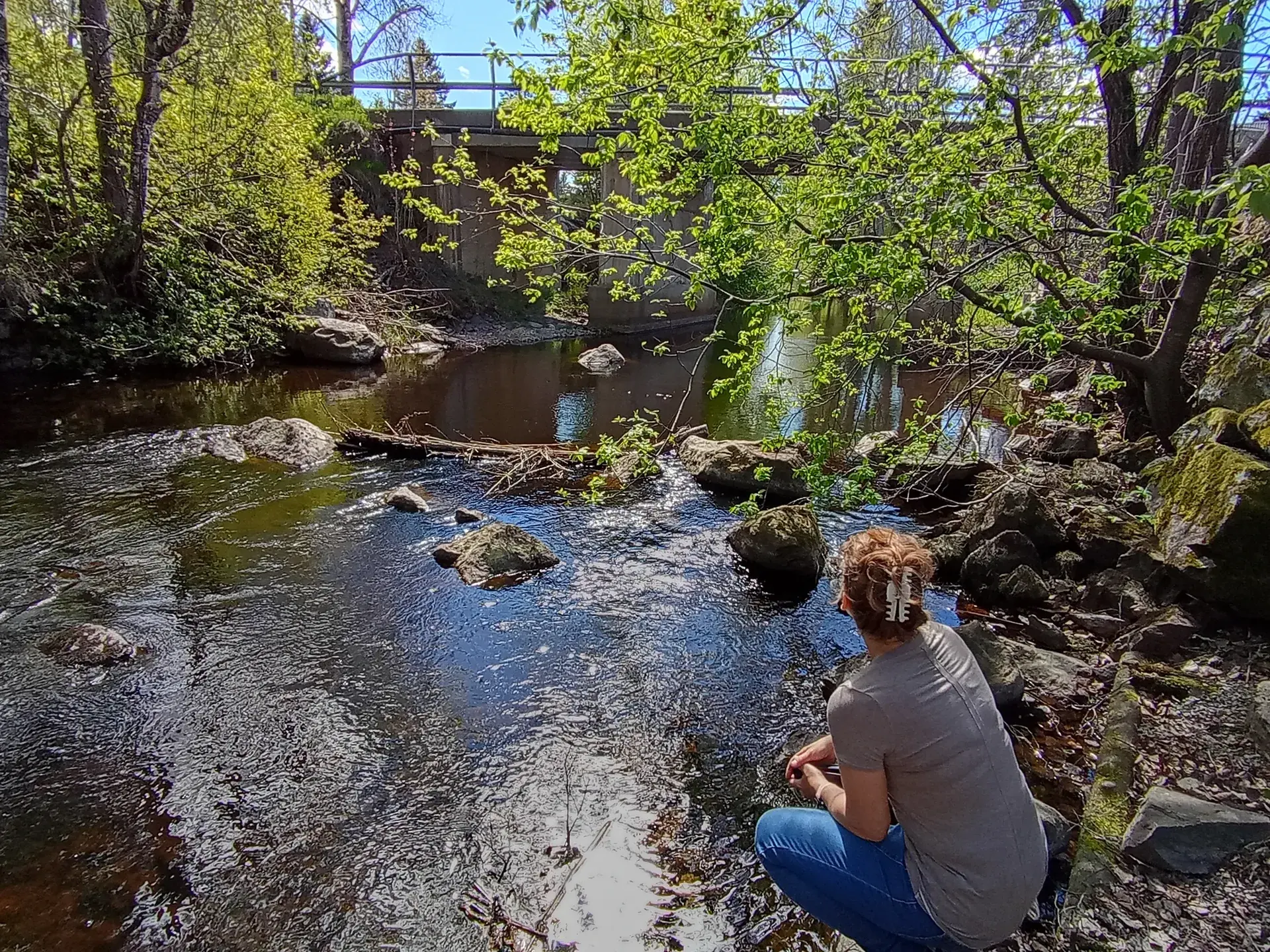 Natur och miljö på Brogården